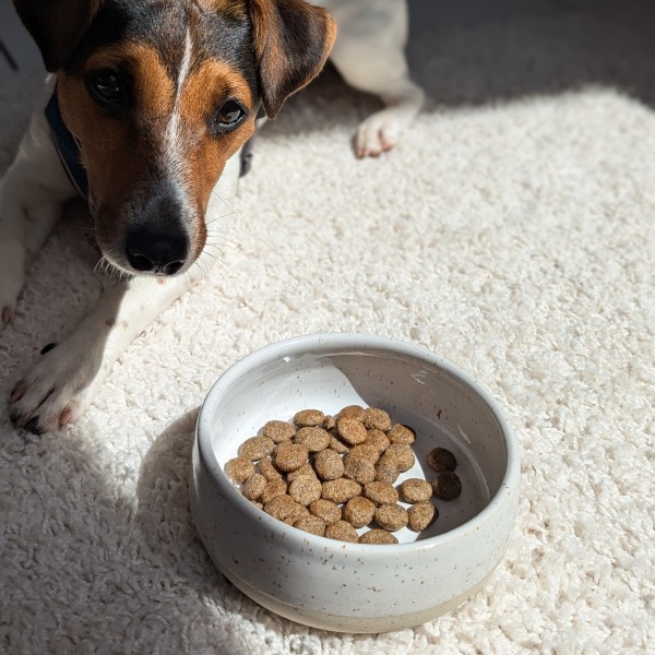 Futternapf weiß S - für kleine Hunde oder Katzen